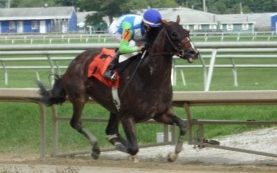 Midlantic-breds drive yearling sale market