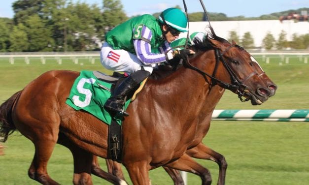 Hodsdon gets first stakes win as Sweet Sandy upsets Backer Stakes