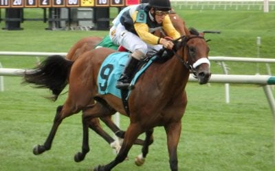 Friday’s Stronach 5 races announced