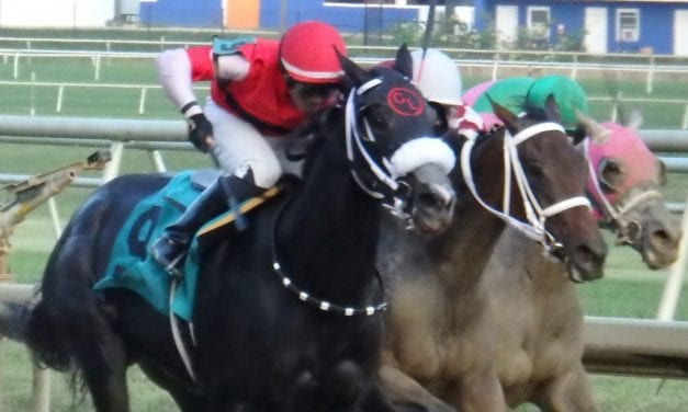 Laurel Park Racing Notebook, Fall Meet Vol. 2