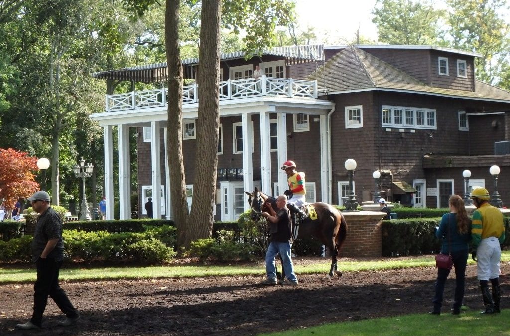 Delaware: Gift of Gab chats up feature win