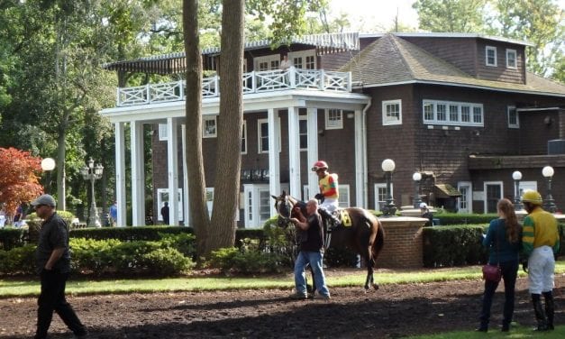 Delaware Park Handicappers’ Notebook 2021 Vol. 3