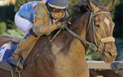 Greenway Court gunning for fifth It’s Only Money title