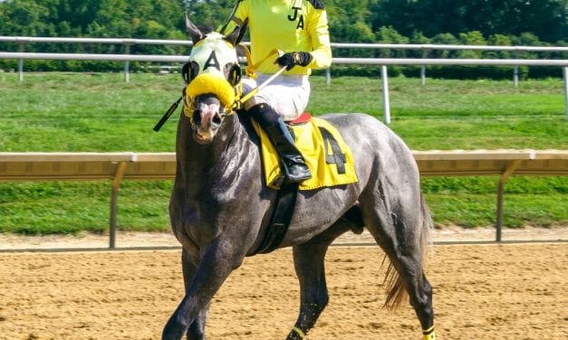 For Joe Arboritanza, one eye on his horses, one eye on Irma