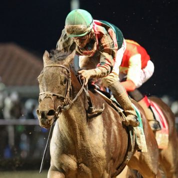 TEQUILITA - The Charles Town Oaks Gr III - 9th Running - 09-23-17 - R12 - CT - 002