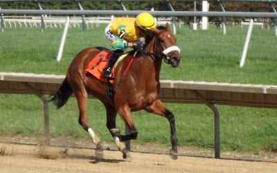 Angel At War, Centeno win third straight