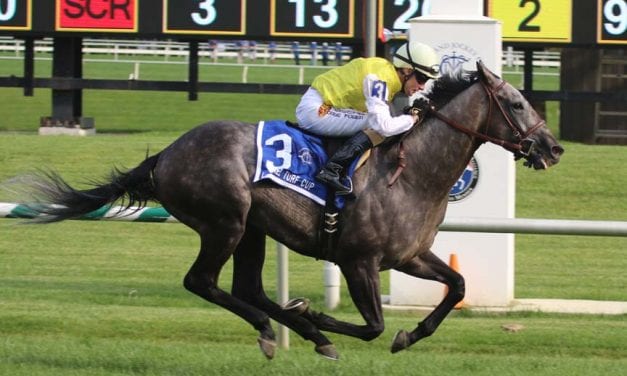 Star is born? Canessar sweeps to Laurel Turf Cup win