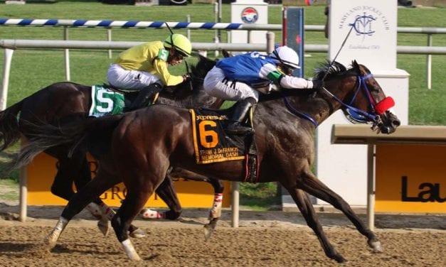 Controversial De Francis entrant Chublicious scores upset