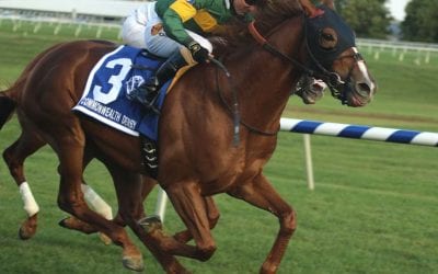 Just Howard, weather big winners: The week in social media