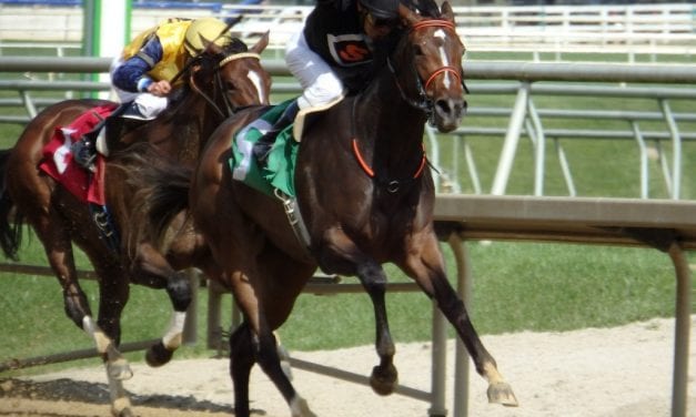 Limited View back on track, heading towards Maryland Million