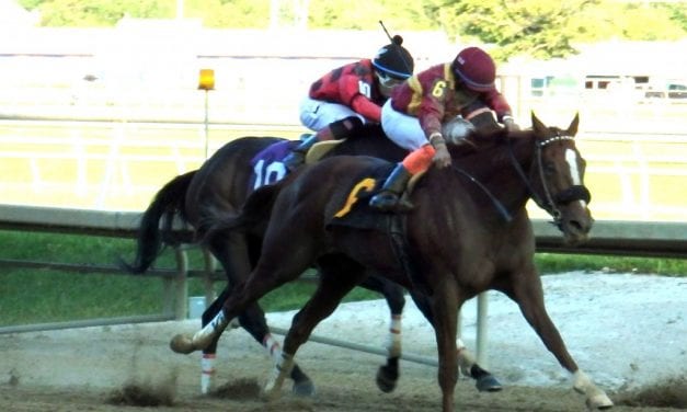 New and improved It’s the Journey, Line of Best Fit seize Laurel stakes