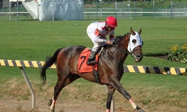My day as the Timonium on-air handicapper