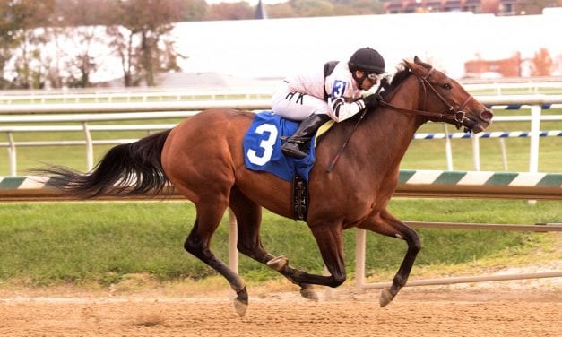 Bloody Point — greenly — prevails in debut