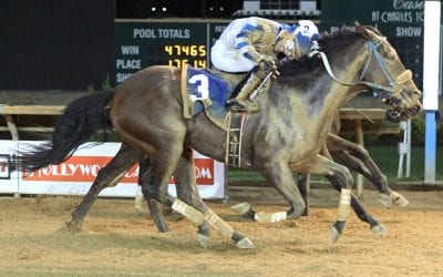 Jocks Hiraldo, Rodriguez sentenced on drug charges