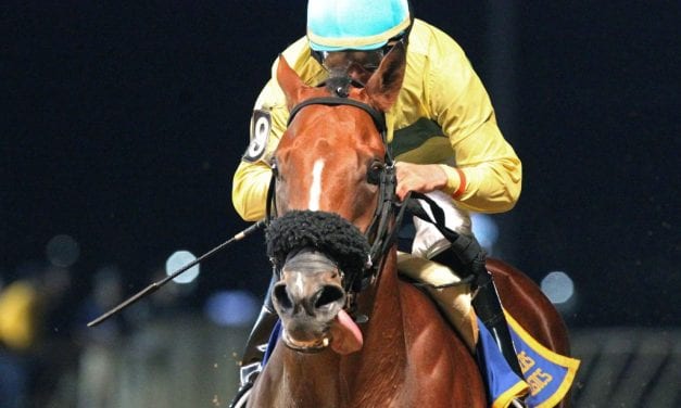 Records fall in 2017 West Virginia Breeders Classics