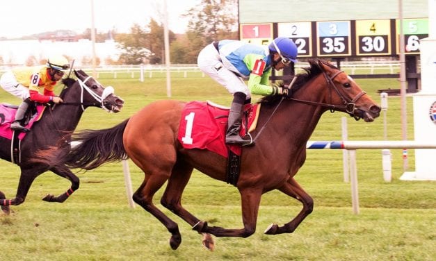 Madame Milan, kin to Barbaro, breaks her maiden