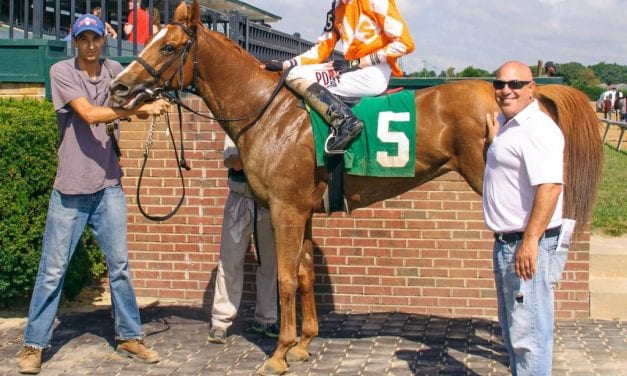 For Catalano, roller coaster ride on an upswing