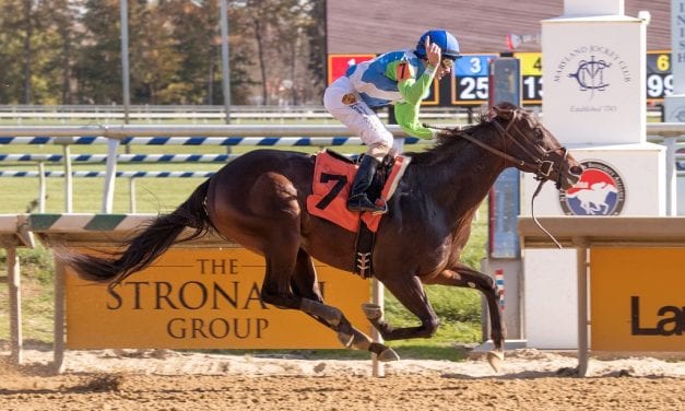 No rein, no problem for Lynch, Tricks to Doo