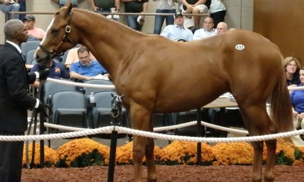 Fasig-Tipton yearling sale concludes with gross, average gains