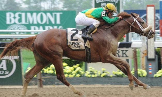 Millionaire Madefromlucky to stand at Northview-Maryland