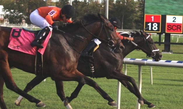 My Sistersledge, hitting her stride, takes Md. Million Ladies