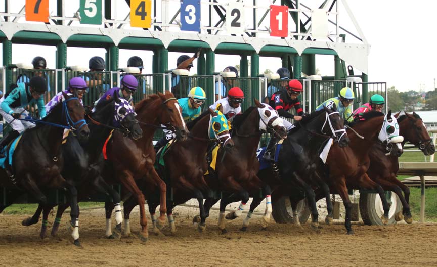 start-5076 Maryland Million