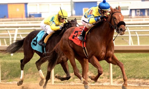 Fanniebellefleming fights to upset Freyer victory