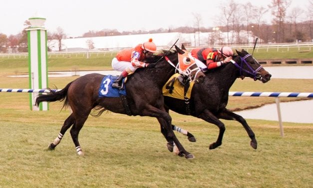 Northern Eclipse shines in Laurel Park feature win