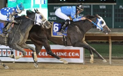 Romantic Cork looks to double up in My Sister Pearl