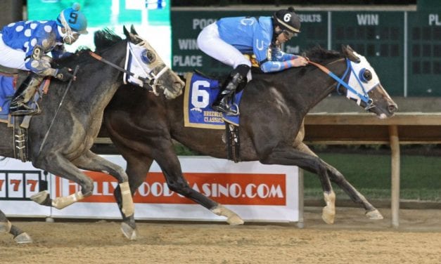 Romantic Cork looks to double up in My Sister Pearl