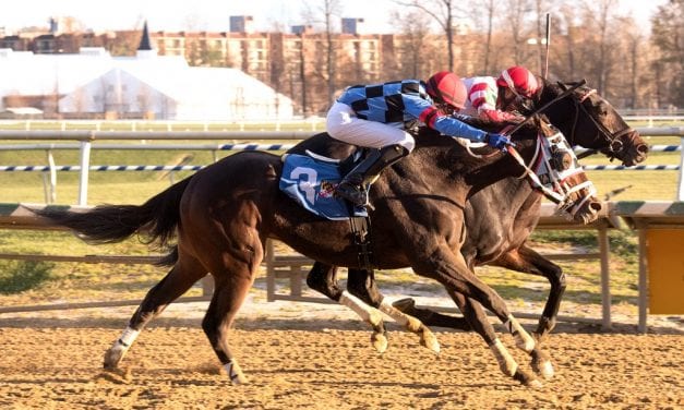 Unbridled Daddy holds on for third straight win