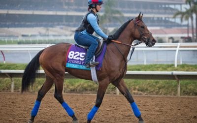 Untamed Domain favored in G3 Kent