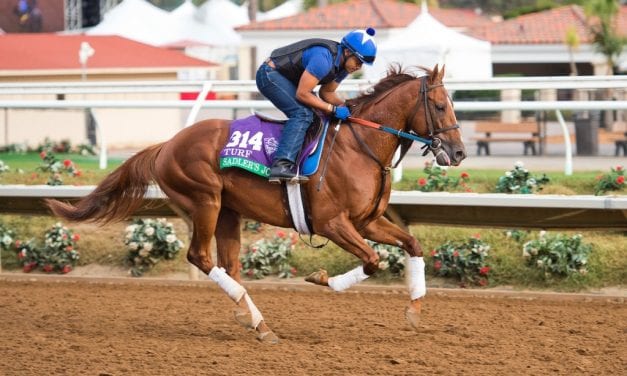 With Sadler’s Joy, Woolcotts, Woodslane return to big stage