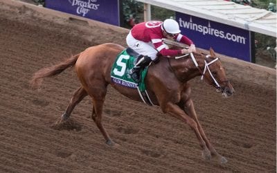 Retired Racehorse Project announces Breeders’ Cup partnership