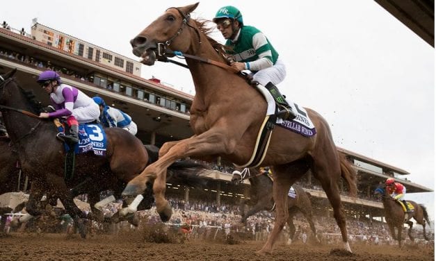 Mor Spirit, Stellar Wind empty in Breeders’ Cup bouts