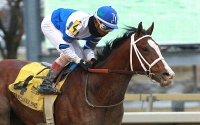 Social media 411: The week in racing media