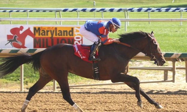 Clever Mind looks for second stake win in Md. Juvenile Futurity