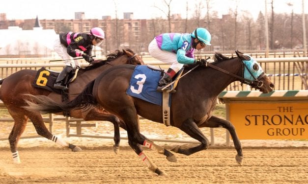 It’s a Doozy lights up toteboard in maiden score