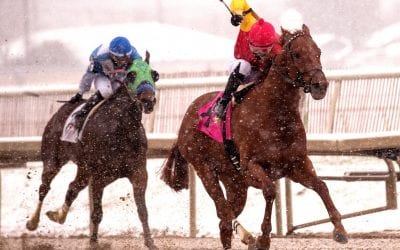 Laurel, Charles Town cancel Thursday cards