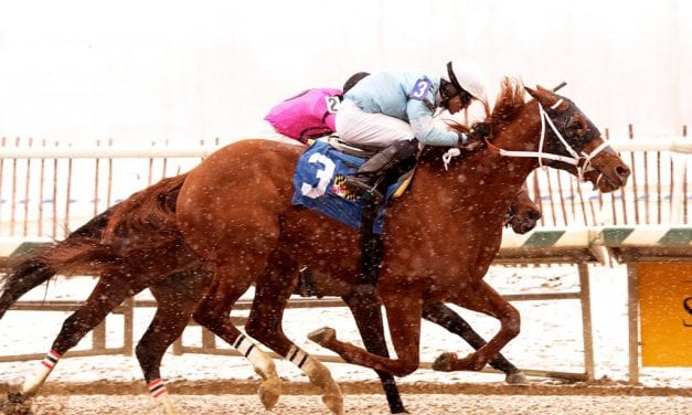 Whirlin Curlin: Time, gelding, and now, a bright future