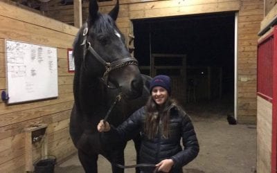 Cozmic One, son of Zenyatta, to try hunter/jumper route