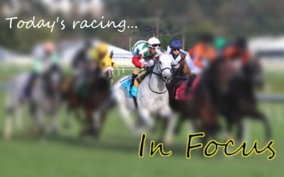 Delaware Park Owners’ Day in focus