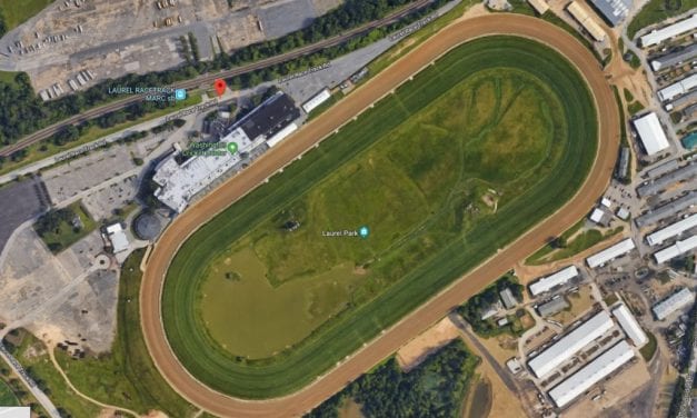 Laurel Park barn fire leaves one horse dead, backstretch shaken