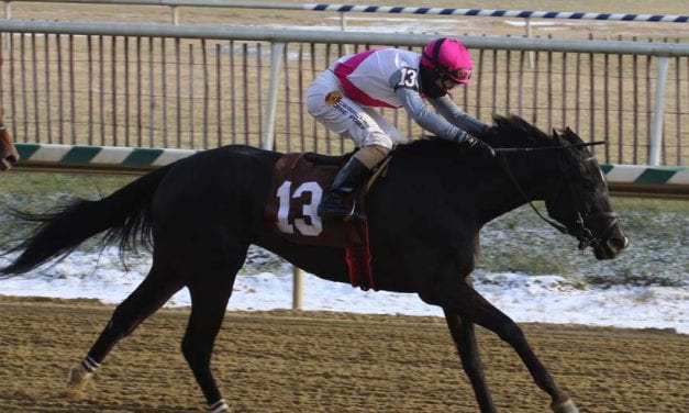 Laurel cancels after jocks say track condition “must be addressed”