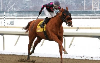 Pennsylvania: Lower takeout, tougher drug rules called for in 2018