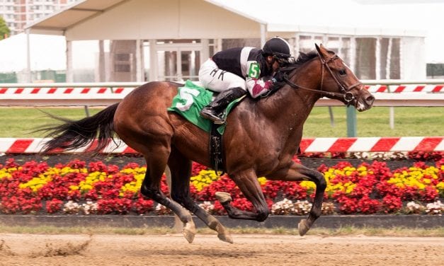 DePaz, Sagamore seeking staying power, success