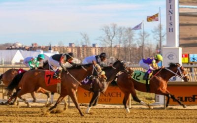 PETA-Stronach alliance spurs questions, concern