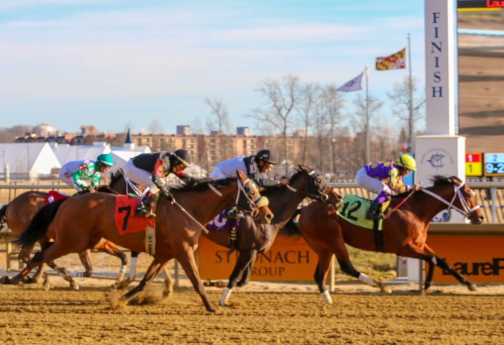 IMG_0999 Awesome Banner