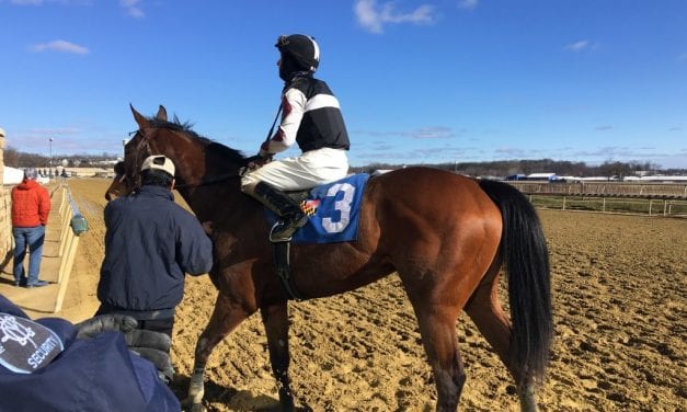 First-out winner Dictate Cool another promising Sagamore runner