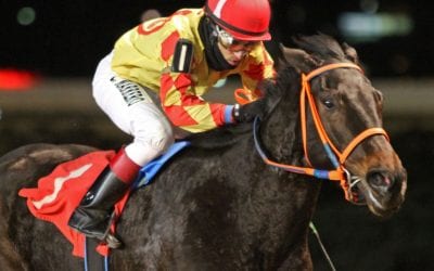Ihearuknockin may take trainer Coker, owner Hemp to uncharted places